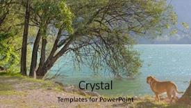  Presentation with mountain lake - PPT theme having dog running along the bank of mountain lake background and a coral colored foreground