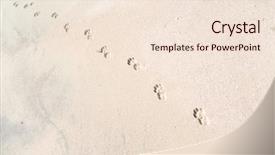  Presentation with sand - Slide deck featuring dog's traces on the sand dune background and a lemonade colored foreground