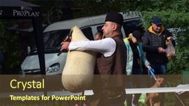  Presentation with bulgarian - 