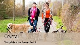  Presentation with customers - Slide set consisting of dog sitters walking their customers background and a soft green colored foreground