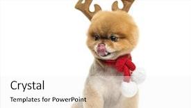  Presentation with antlers - Slide deck enhanced with  background and a  colored foreground