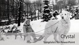 Presentation with dog sled - Audience pleasing PPT layouts consisting of dog sled - vintage photo of young child backdrop and a light gray colored foreground