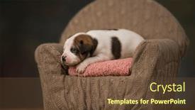  Presentation with sleep - 