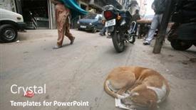  Presentation with roadside - 