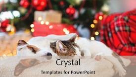  Presentation with dog christmas - Presentation theme having dog sleeping under christmas background and a soft green colored foreground