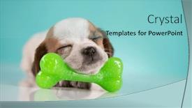  Presentation with bone - 