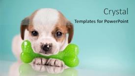  Presentation with rubber - 