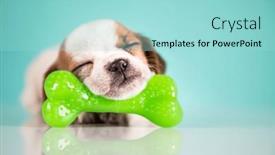  Presentation with bone - 