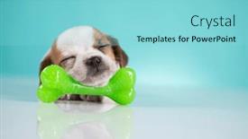  Presentation with rubber - 