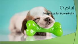  Presentation with bone - 