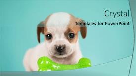  Presentation with rubber - 