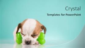  Presentation with rubber - 