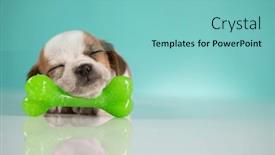  Presentation with rubber - 