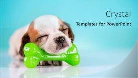  Presentation with bone - 