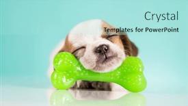  Presentation with bone - 