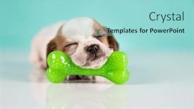  Presentation with rubber - 