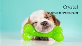  Presentation with bone - 