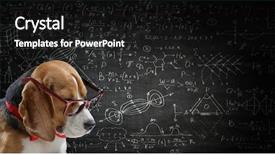  Presentation with soical science study - Theme consisting of cute number - dog study science mixed media background and a black colored foreground