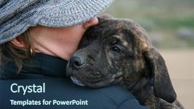  Presentation with baby teeth - PPT theme enhanced with dog teeth - girl in a hat holding background and a  colored foreground
