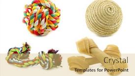  Presentation with dog boarding - Audience pleasing slide set consisting of dog-toys-on-a-white backdrop and a yellow colored foreground