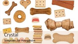  Presentation with bone - Slide set consisting of cute young couple looking back in the farmland background and a coral colored foreground