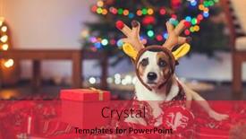 Presentation with dog christmas - Beautiful PPT theme featuring dog-under-a-christmas-tree backdrop and a red colored foreground