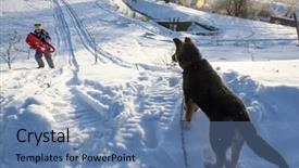  Presentation with dog sled - Theme consisting of dog waiting for a girl background and a  colored foreground