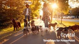  Presentation with dog park - Slide deck enhanced with dog walker at work couple background and a tawny brown colored foreground