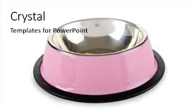  Presentation with pet - Beautiful PPT layouts featuring dog water - pet bowl isolated backdrop and a  colored foreground