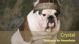  Presentation with hat - PPT theme consisting of dog-wearing-a-viking-hat background and a violet colored foreground