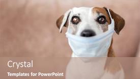  Presentation with mask - Colorful slide deck enhanced with dog-with-a-medical-mask backdrop and a coral colored foreground