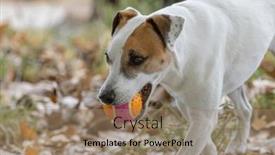  Presentation with children playing - 