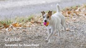  Presentation with children playing - 