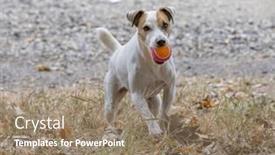  Presentation with children playing - 