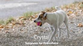  Presentation with children playing - 