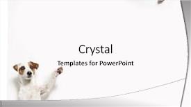  Presentation with animals - Slides featuring dog with banner pet showing at placard fun animals background and a pink colored foreground