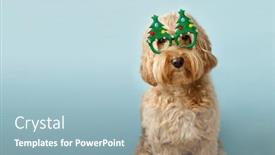  Presentation with dog christmas - Audience pleasing PPT theme consisting of dog-with-christmas-tree-glasses backdrop and a light blue colored foreground