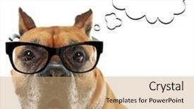  Presentation with ice bubble - Colorful slide set enhanced with dog with empty cloud bubble backdrop and a coral colored foreground