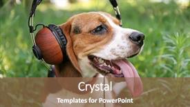  Presentation with headphones - Cool new slides with dog with headphones on green backdrop and a  colored foreground