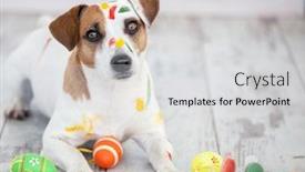  Presentation with easter - Slide set enhanced with dog-with-painted-easter-eggs background and a light gray colored foreground
