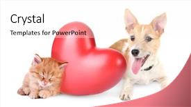  Presentation with cat dog - Beautiful theme featuring dog with red heart backdrop and a white colored foreground