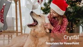  Presentation with dog christmas - Colorful slide deck enhanced with dog-yawning-under-christmas-tree backdrop and a coral colored foreground