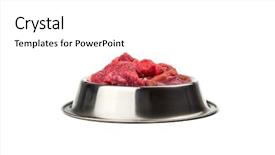  Presentation with meat - Presentation enhanced with doggy bowl with meat isolated background and a white colored foreground