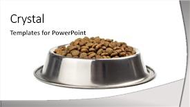  Presentation with meat - Cool new presentation theme with doggy bowl with meat isolated backdrop and a white colored foreground