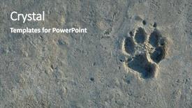  Presentation with asphalt - Audience pleasing presentation design consisting of doggy foot stamp backdrop and a  colored foreground