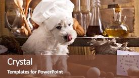  Presentation with cook chef - Beautiful PPT layouts featuring food dogs - miniature schnauzer in chef's hat backdrop and a tawny brown colored foreground