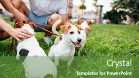  Presentation with dog park dogs plays - Slides enhanced with dogs in a city park background and a tawny brown colored foreground