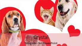 Presentation with cats - PPT layouts consisting of dogs in red heart background and a red colored foreground
