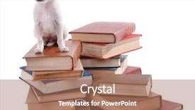  Presentation with dogs - Cool new PPT theme with dogs on heap of books backdrop and a coral colored foreground
