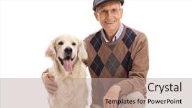  Presentation with dog cruelty - PPT theme consisting of dogs people - senior with a labrador retriever background and a coral colored foreground